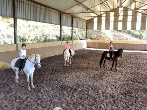 Agroturismo Haybarn Cottage By Ourmadeira
