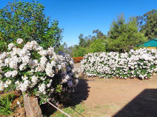 Agroturismo Haybarn Cottage By Ourmadeira