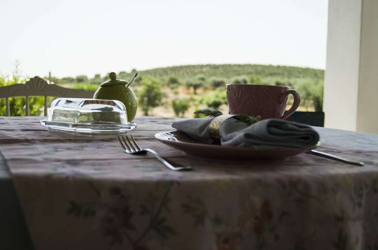 Agroturismo Monte Da Estrela - Country House & Spa