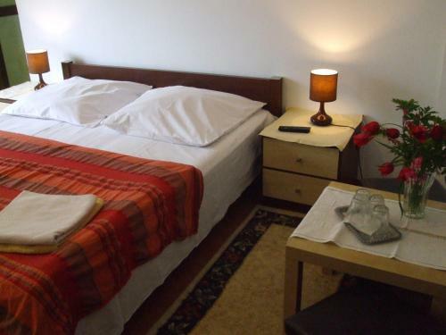 Hostal Pensiunea Soimul