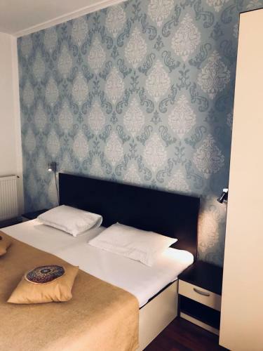 Hostal Pinul Negru