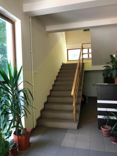 Hostal Pinul Negru