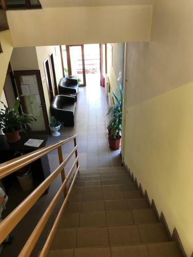 Hostal Pinul Negru