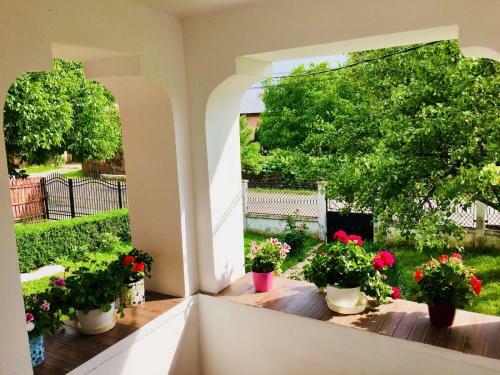 Hostal Casa Andra