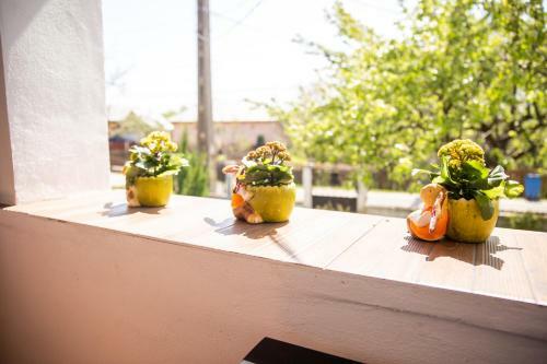 Hostal Casa Andra