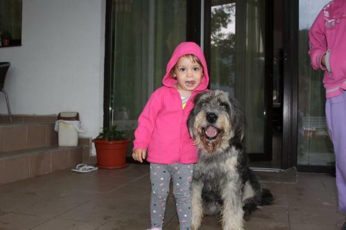 Hostal Casuta Didi