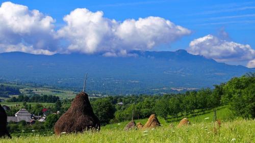 Agroturismo Pensiunea Inima Maramure?ului