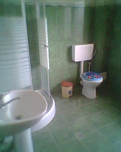 Hostal Vila Elena Si Ionut