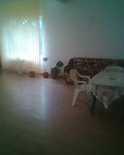 Hostal Vila Elena Si Ionut