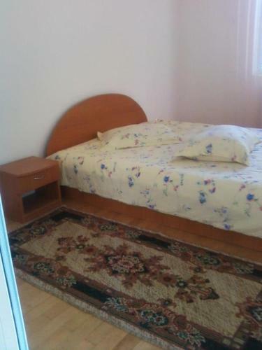 Hostal Vila Elena Si Ionut