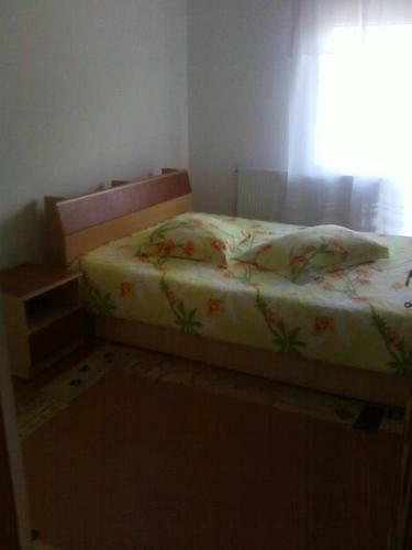 Hostal Vila Elena Si Ionut