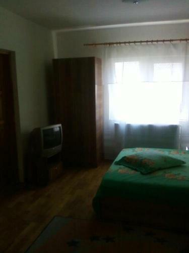 Hostal Vila Elena Si Ionut