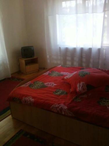 Hostal Vila Elena Si Ionut
