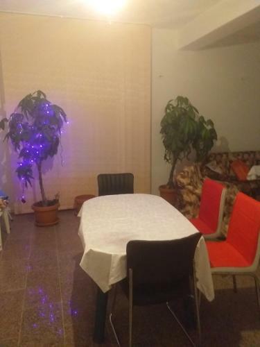 Hostal Vila Elena Si Ionut
