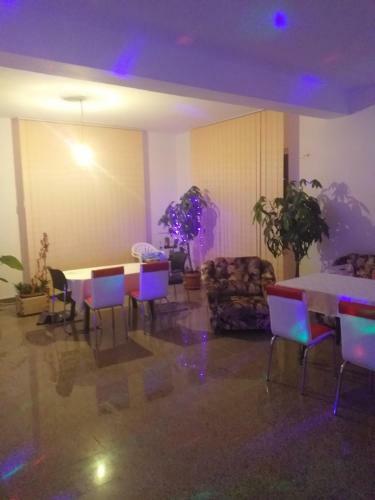 Hostal Vila Elena Si Ionut