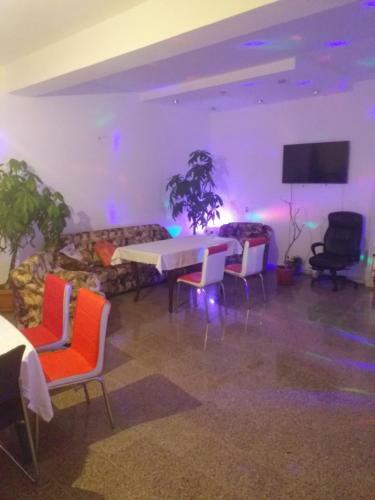 Hostal Vila Elena Si Ionut