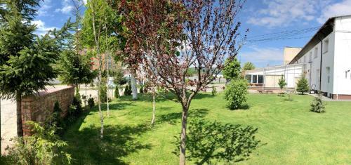 Hostal Nueva Park