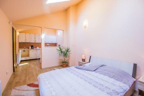 Apartamento Postavarului Residence