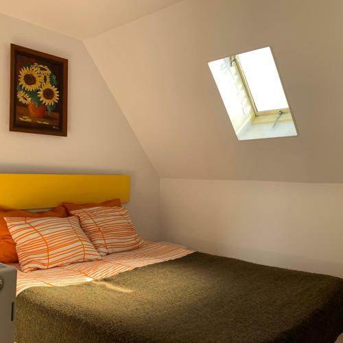 Hotel Villa Siret