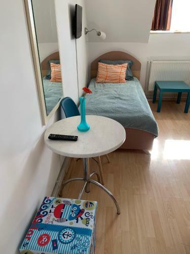 Hotel Villa Siret