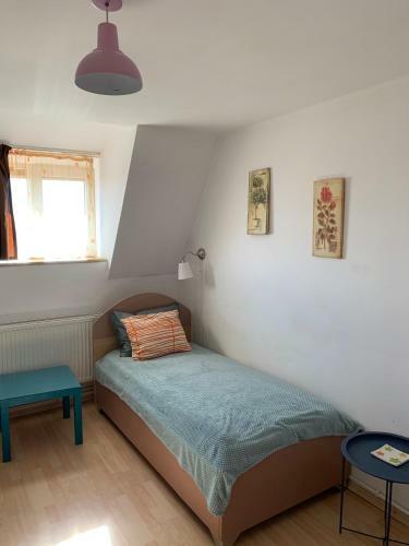 Hotel Villa Siret