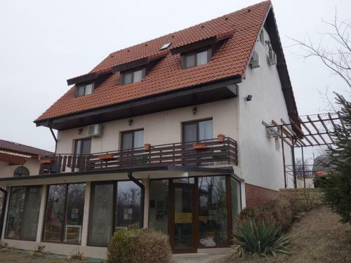 Hotel Villa Siret