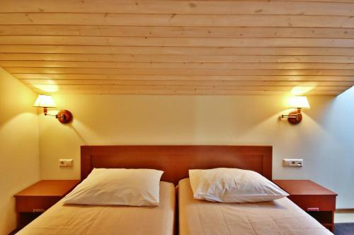 Hotel Vingis