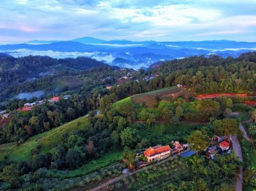 Hotel Phu Mork Dao Resort
