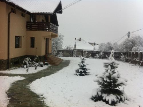 Hostal Pensiunea Iulia