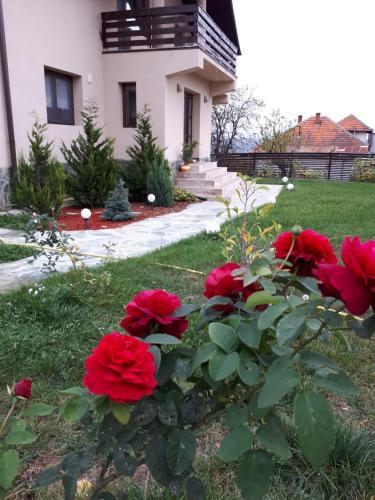 Hostal Pensiunea Iulia