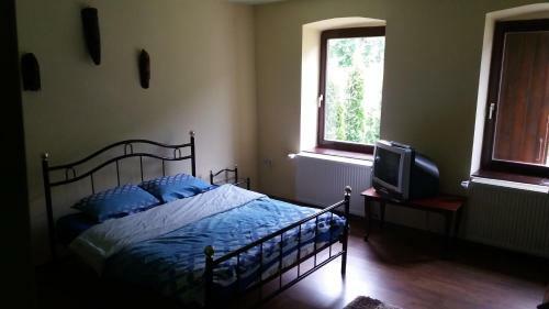 Casa Sasca Montana