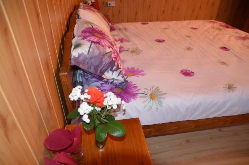 Hostal Casa Cu Povesti Rosia Montana