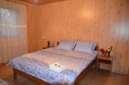 Hostal Casa Cu Povesti Rosia Montana