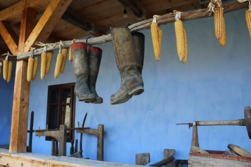 Csipkeszeg Bed & Breakfast Sic / Sz�k Romania