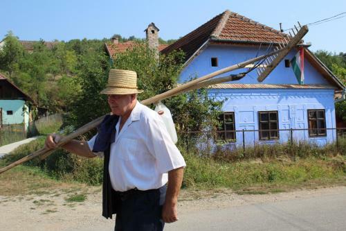 Csipkeszeg Bed & Breakfast Sic / Sz�k Romania
