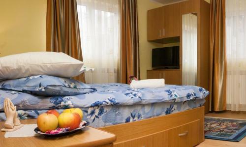 Hostal Vila Cu Flori