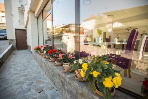 Hostal Pensiunea Simar
