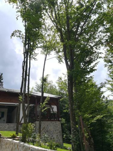 Apartamento Casa Gozna