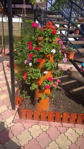 Hostal Vila Maricris