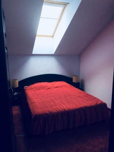 Hostal Pensiunea Casa Ancutei
