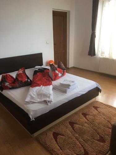 Hostal Pensiunea Rubin