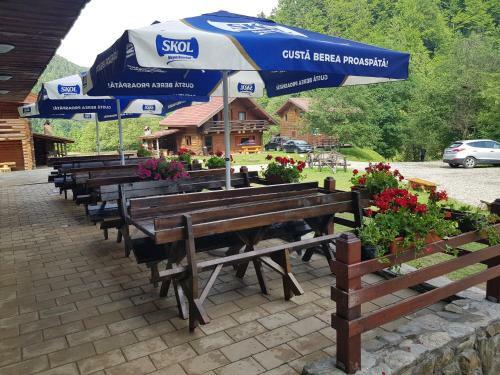 Bed & Breakfast 7 Crai