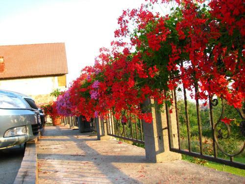 Hostal Pensiunea Neredy