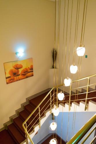 Hostal Vila Nufarul