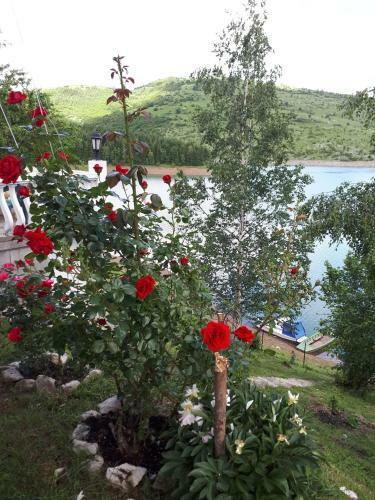 Apartamento Uvacko Jezero (uvac Lake)