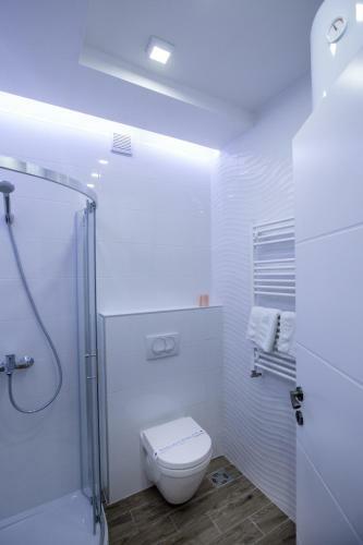 Apartment Exclusive And Studio
