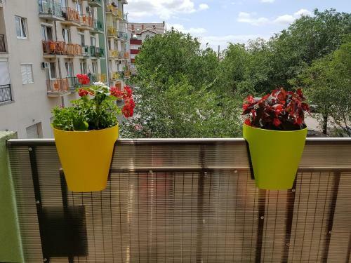 Apartman Boska