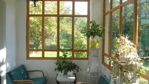 Bed & Breakfast Sobe Zeravica Sremski Karlovci
