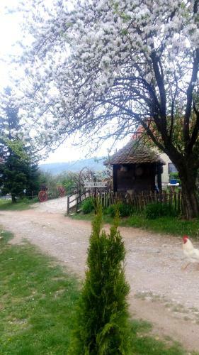 Agroturismo Country House Tomasevic