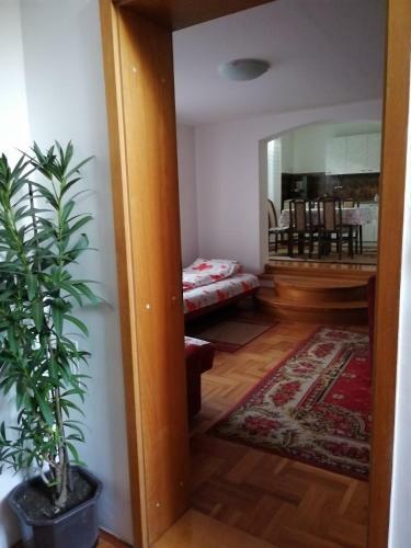 Apartamentos Pansion Velickovic